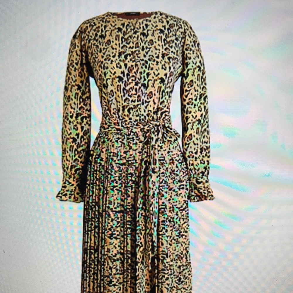 Jcrew Long-sleeve pleated leopard dress
